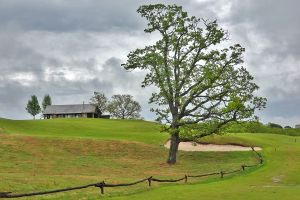 Ozarks National 5th Tree Approach